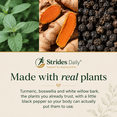 Strides Daily - Turmeric, Boswellia & Willow Bark